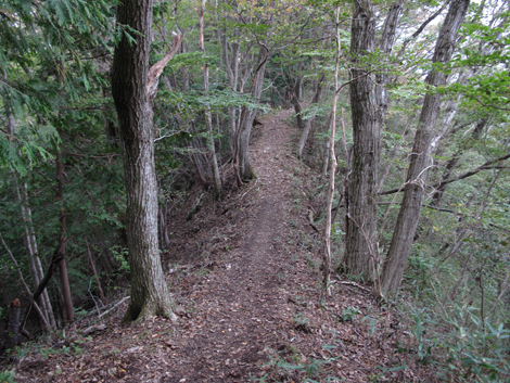 20181016hike (225)